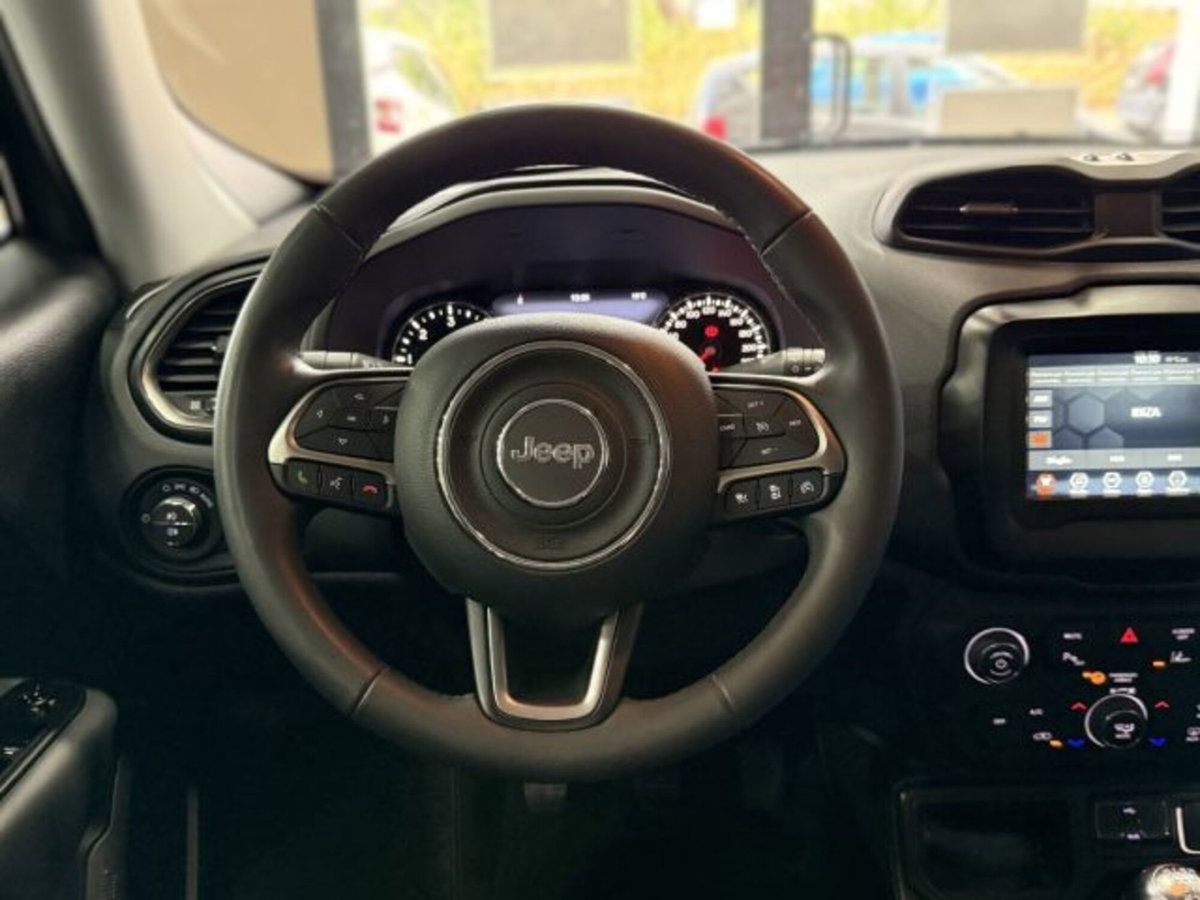 Jeep Renegade 1.6 Mjt 130 CV Limited (12)