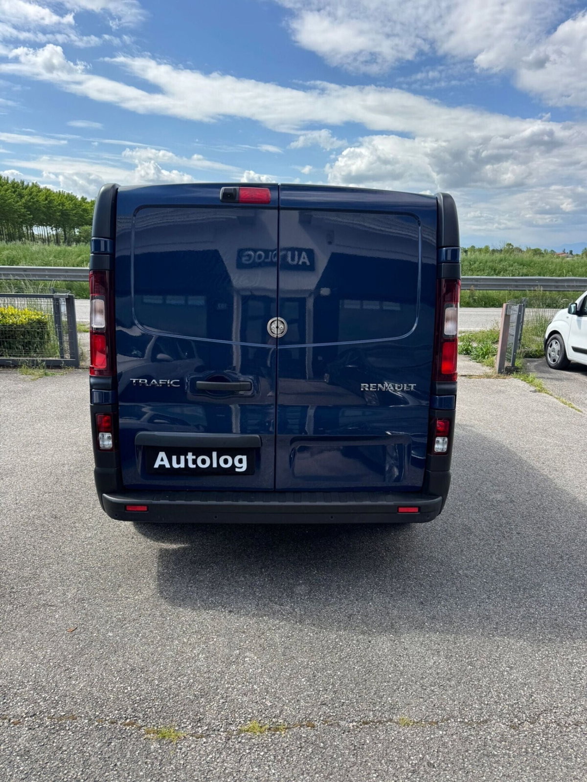Renault Trafic Furgone T29 2.0 dCi 120CV PC-TN Furgone Ice Plus (4)