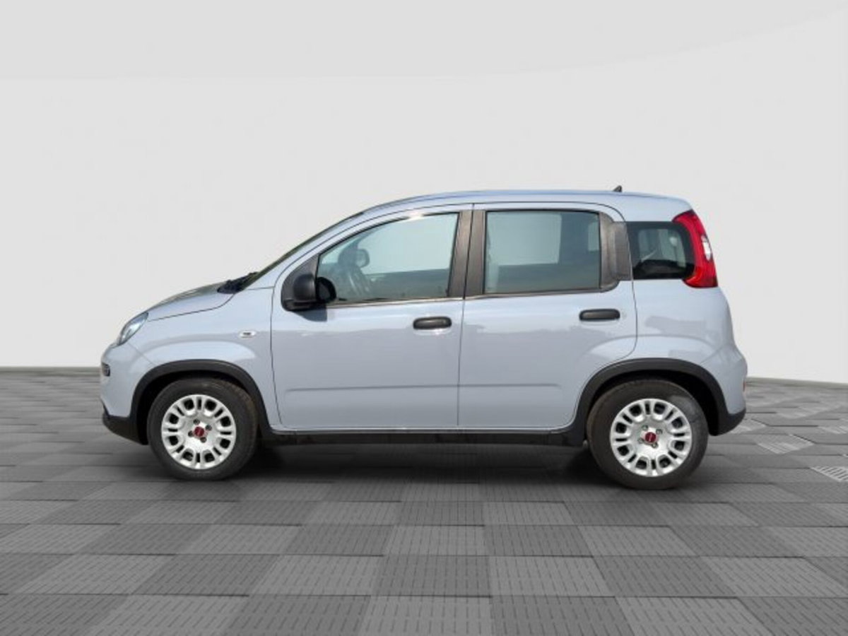 Fiat Panda 1.0 FireFly S&S Hybrid City Cross (2)