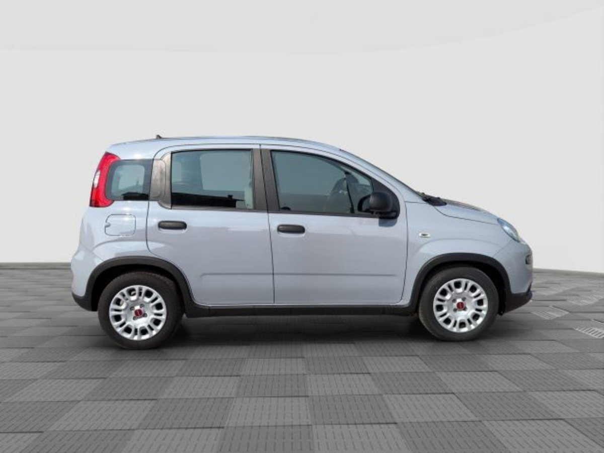 Fiat Panda 1.0 FireFly S&S Hybrid City Cross (6)