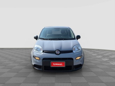Fiat Panda 1.0 FireFly S&S Hybrid City Cross (8)