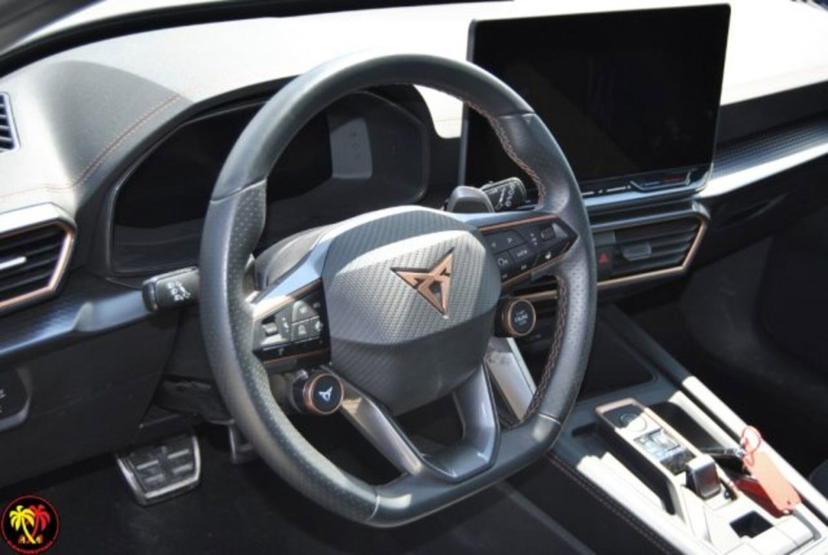 Cupra Formentor Formentor 1.5 TSI (6)