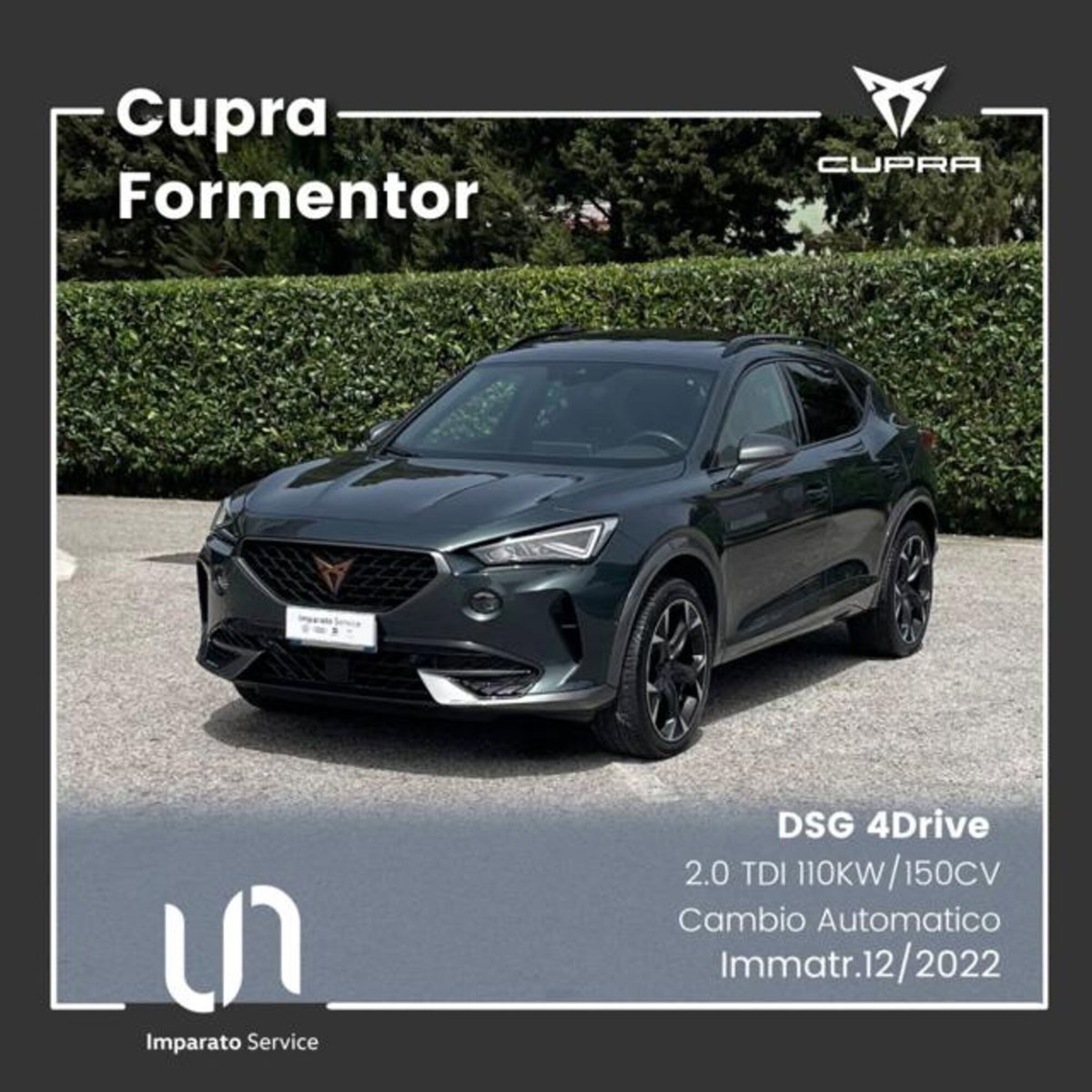 Cupra Formentor Formentor 2.0 tdi 4drive 150cv dsg