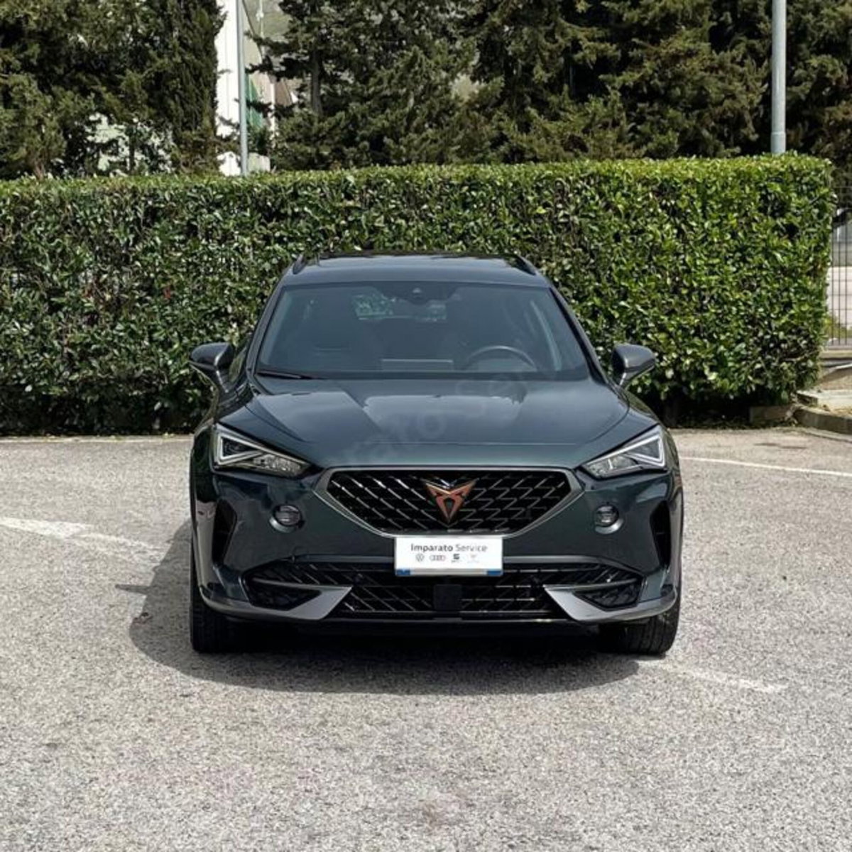 Cupra Formentor Formentor 2.0 tdi 4drive 150cv dsg (2)