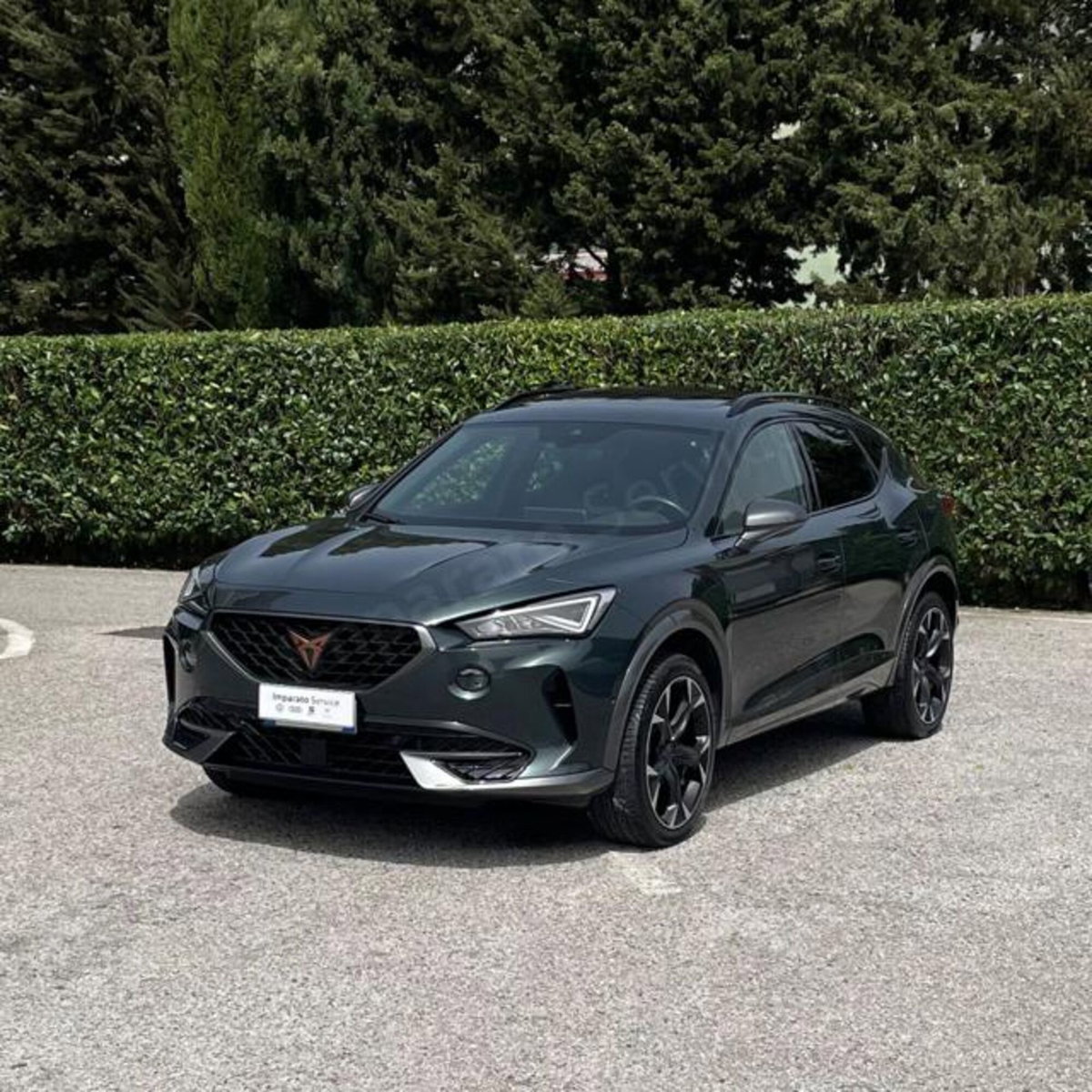Cupra Formentor Formentor 2.0 tdi 4drive 150cv dsg (3)