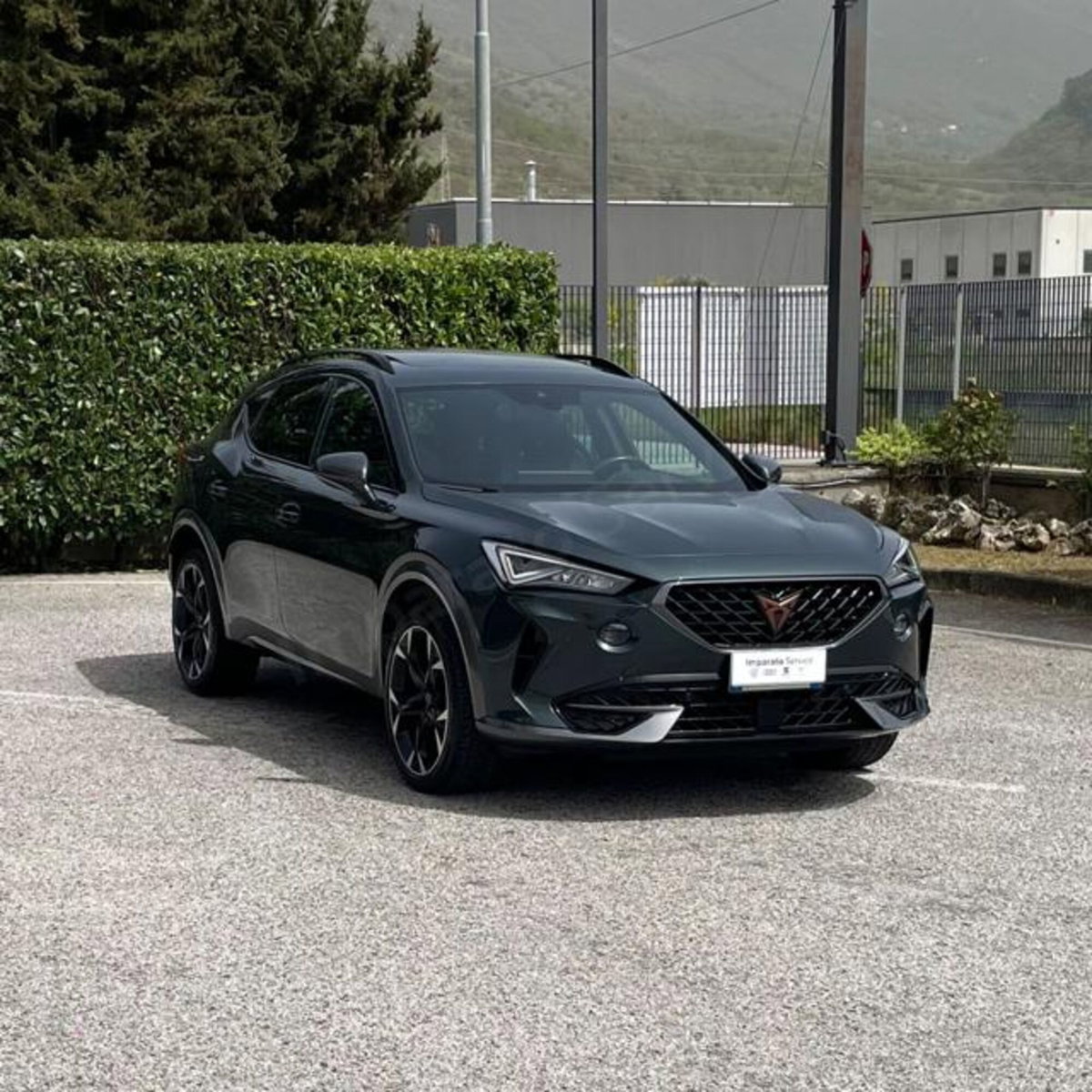Cupra Formentor Formentor 2.0 tdi 4drive 150cv dsg (4)