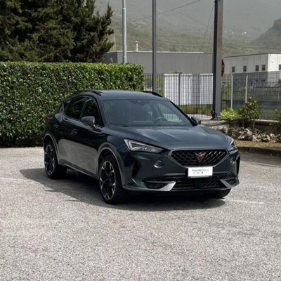Cupra Formentor Formentor 2.0 tdi 4drive 150cv dsg (4)