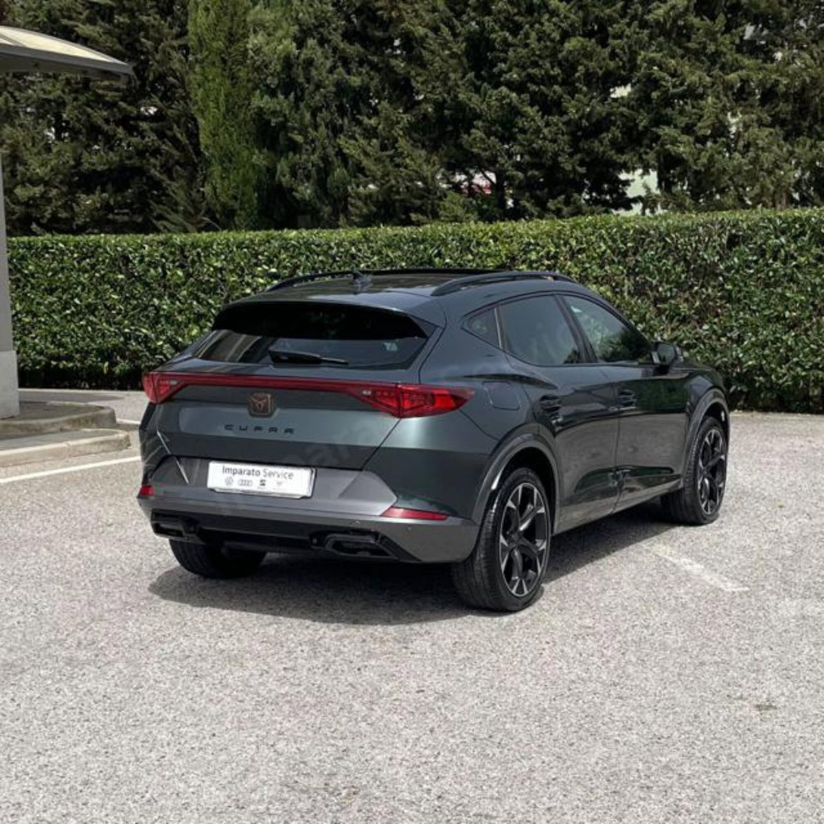 Cupra Formentor Formentor 2.0 tdi 4drive 150cv dsg (6)