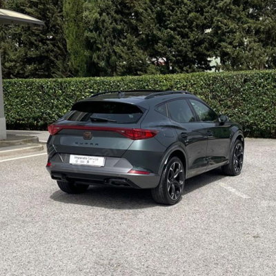 Cupra Formentor Formentor 2.0 tdi 4drive 150cv dsg (6)
