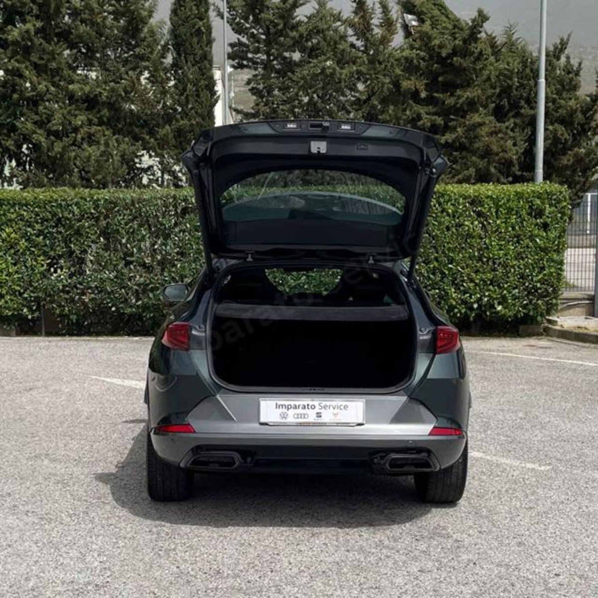 Cupra Formentor Formentor 2.0 tdi 4drive 150cv dsg (8)
