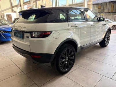 Land Rover Range Rover Evoque 2.0 eD4 5p. Pure (5)