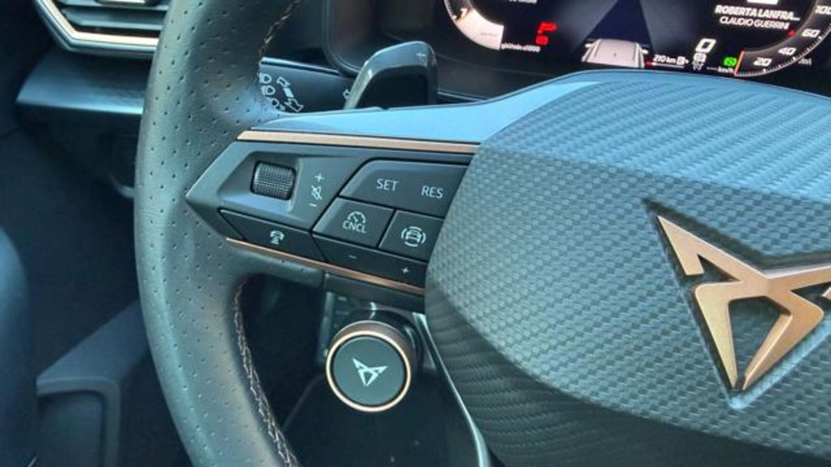 Cupra Formentor Formentor 2.0 tdi 4drive 150cv dsg (6)