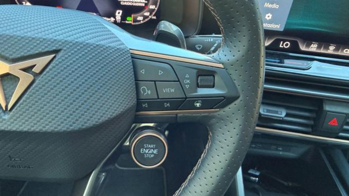 Cupra Formentor Formentor 2.0 tdi 4drive 150cv dsg (7)