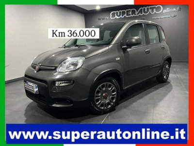 Fiat Panda 1.0 firefly hybrid s&s 70cv 5p.ti usata