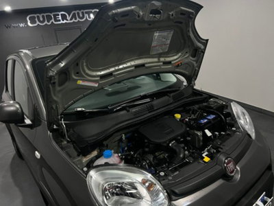 Fiat Panda 1.0 firefly hybrid s&s 70cv 5p.ti (15)