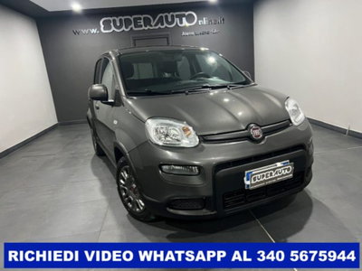 Fiat Panda 1.0 firefly hybrid s&s 70cv 5p.ti (2)