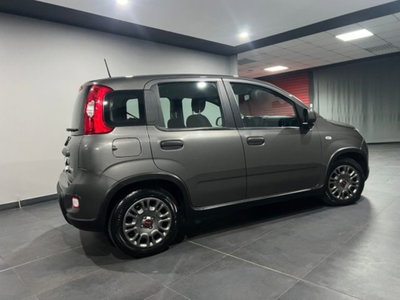 Fiat Panda 1.0 firefly hybrid s&s 70cv 5p.ti (4)