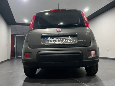 Fiat Panda 1.0 firefly hybrid s&s 70cv 5p.ti (5)