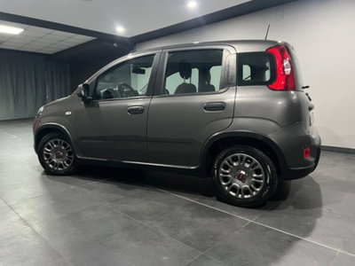 Fiat Panda 1.0 firefly hybrid s&s 70cv 5p.ti (6)