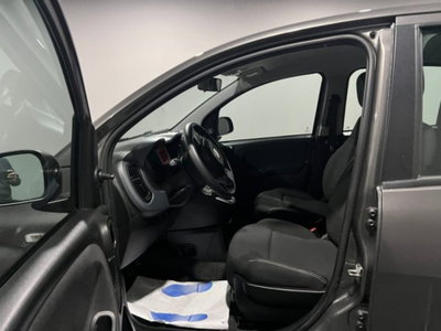 Fiat Panda 1.0 firefly hybrid s&s 70cv 5p.ti (8)