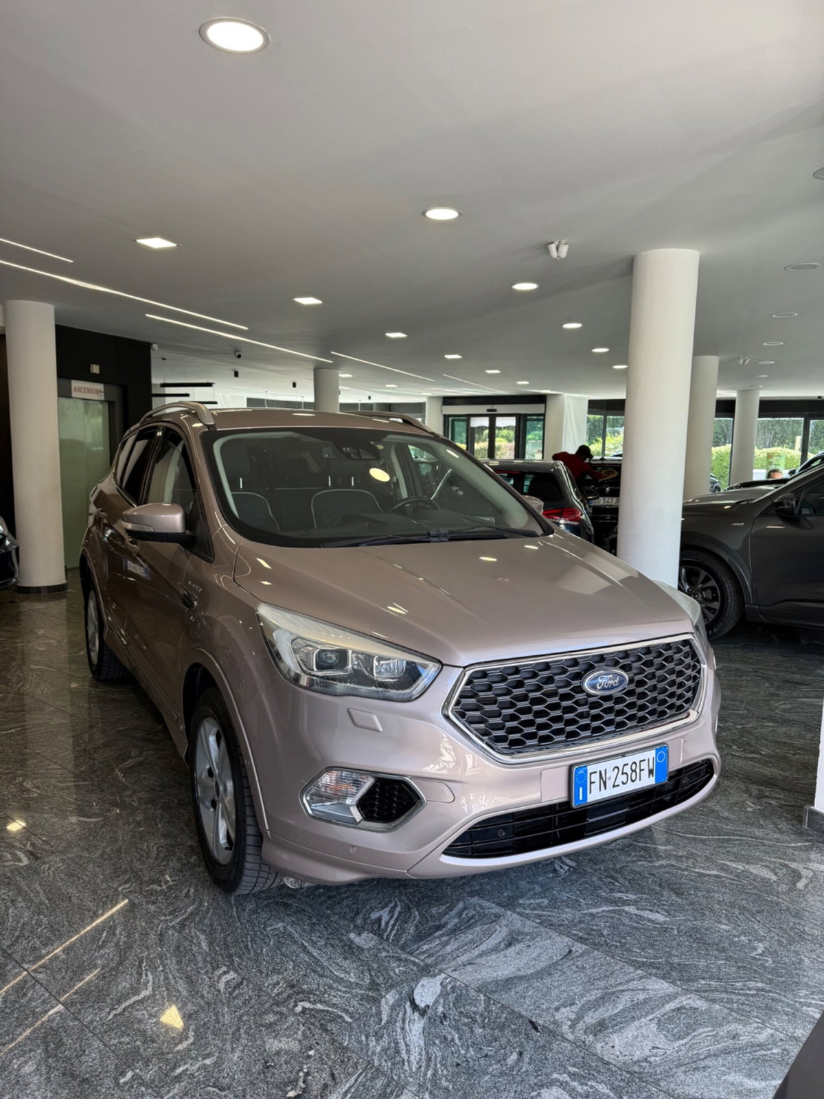 Ford Kuga 2.0 TDCI 180 CV S&S 4WD Powershift Vignale (8)