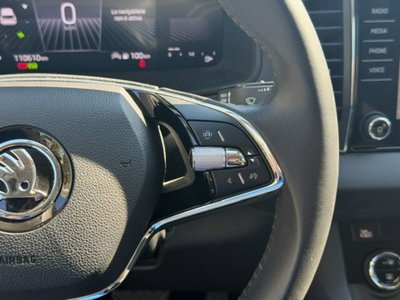 Skoda Karoq 2.0 TDI EVO SCR 115 CV DSG Executive (18)