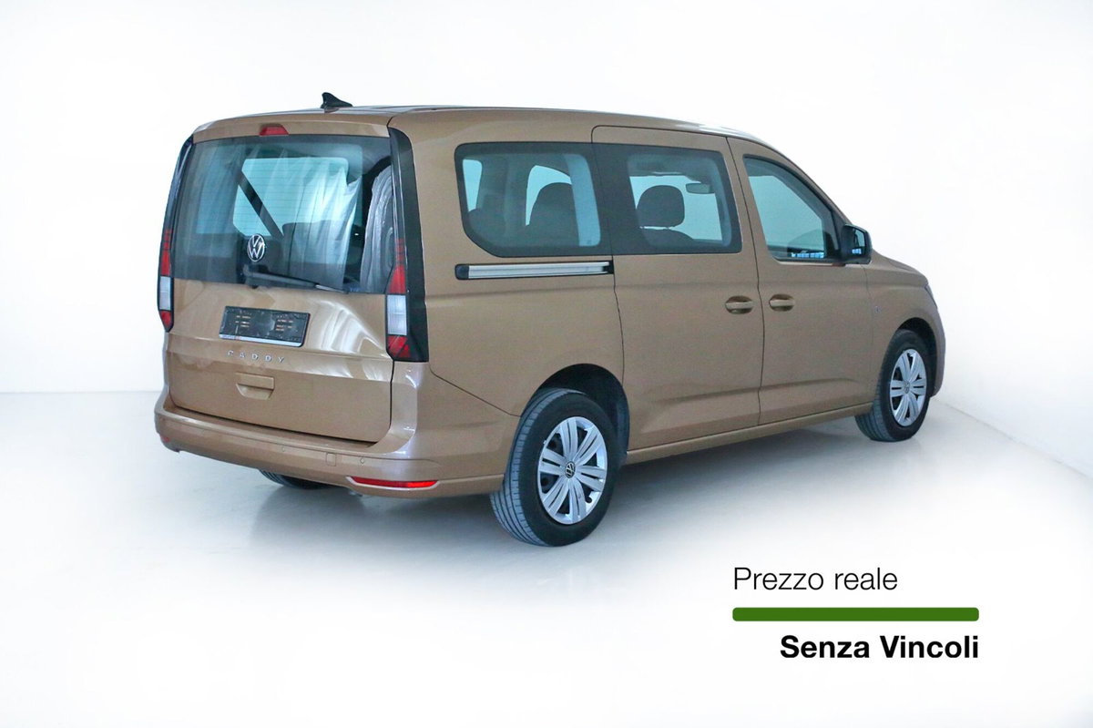 Volkswagen Veicoli Commerciali Caddy maxi 2.0 tdi 122cv 4motion Edition (4)