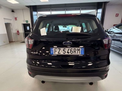 Ford Kuga 2.0 TDCI 120 CV S&S 2WD Business N1 (3)