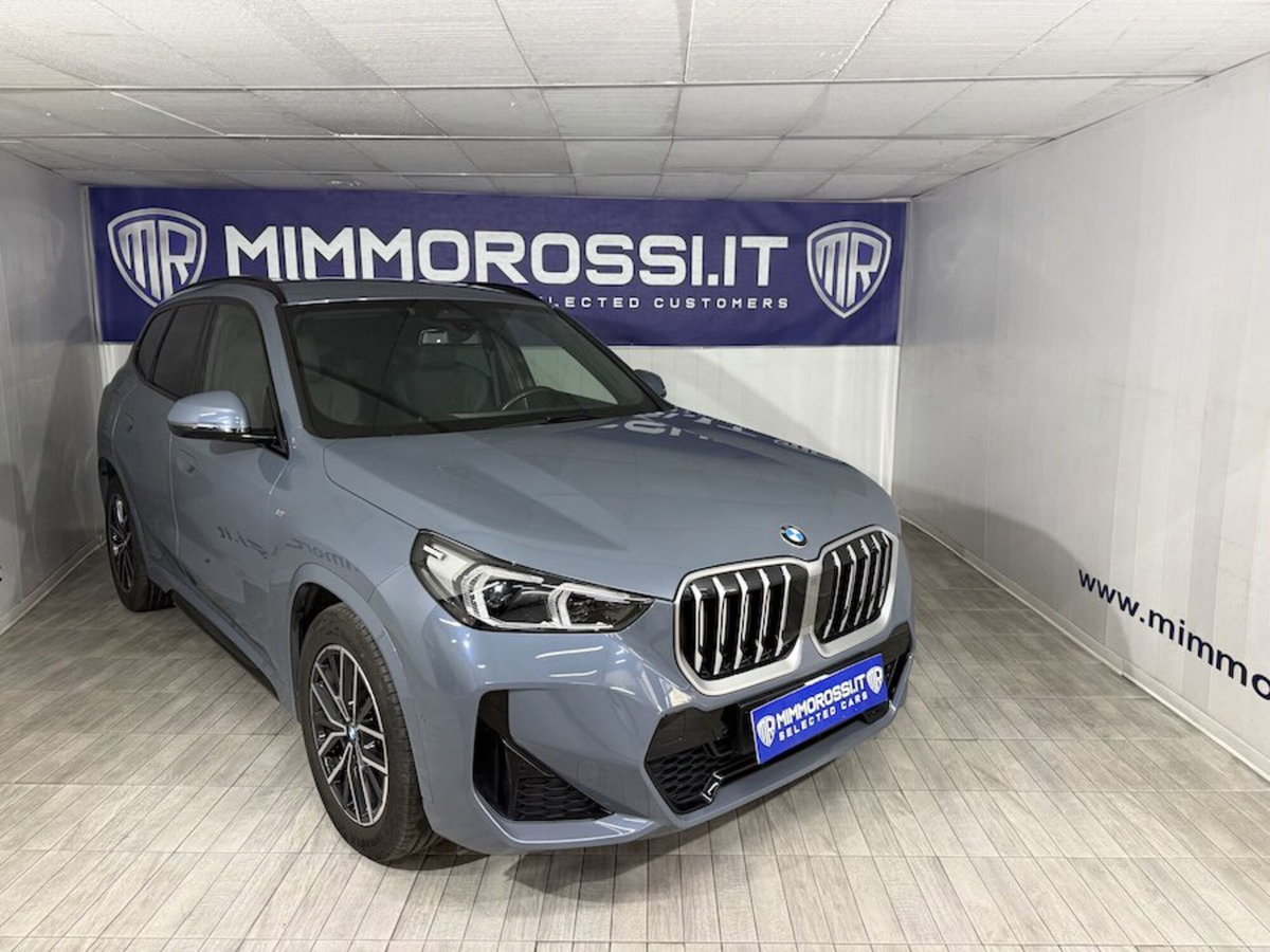 BMW X1 xDrive 23d Msport Edition Balance (2)