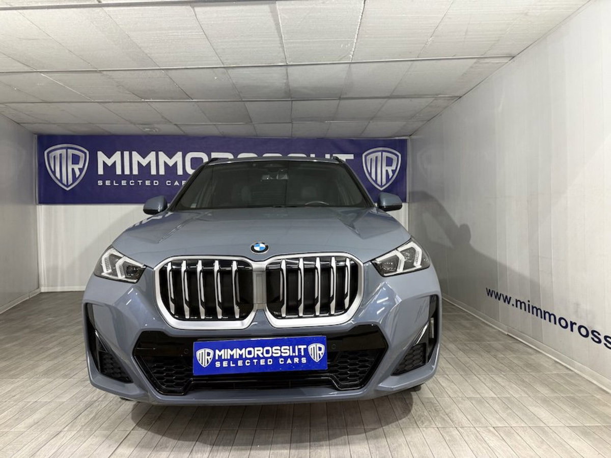 BMW X1 xDrive 23d Msport Edition Balance (5)