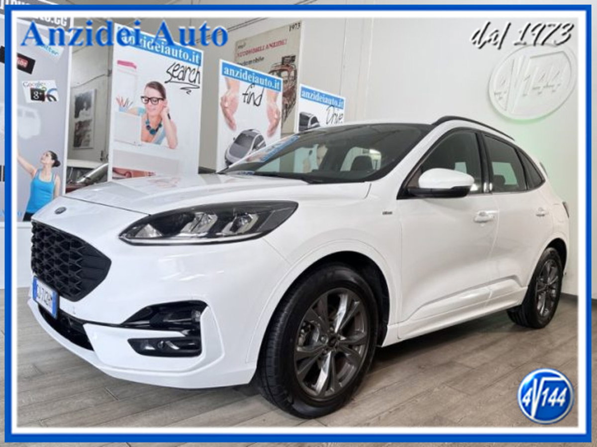 Ford Kuga 1.5 EcoBlue 120 CV aut. 2WD ST-Line X Design (3)