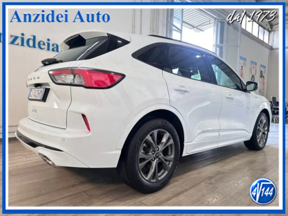 Ford Kuga 1.5 EcoBlue 120 CV aut. 2WD ST-Line X Design (6)