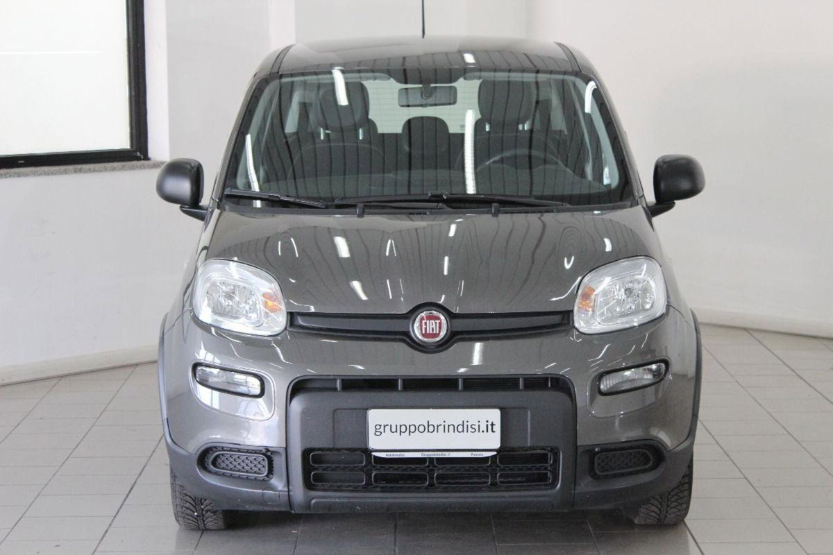 Fiat Panda 1.0 FireFly S&S Hybrid (2)