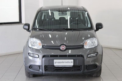 Fiat Panda 1.0 FireFly S&S Hybrid (2)