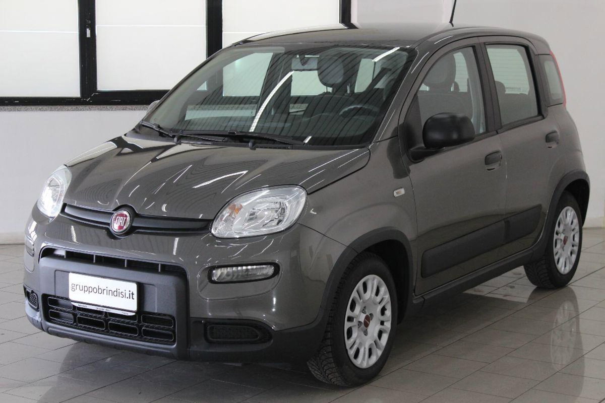 Fiat Panda 1.0 FireFly S&S Hybrid (3)