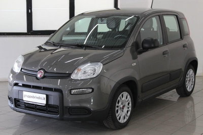 Fiat Panda 1.0 FireFly S&S Hybrid (3)