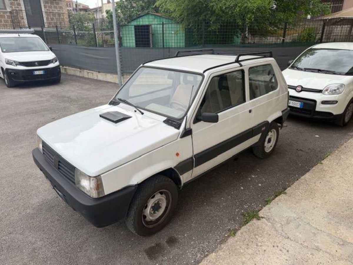Fiat Panda 1000 4x4 (2)
