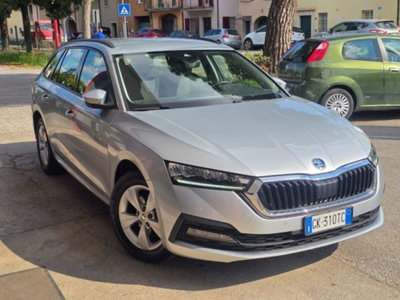 Skoda Octavia Station Wagon 2.0 TDI EVO SCR DSG Wagon Executive (13)