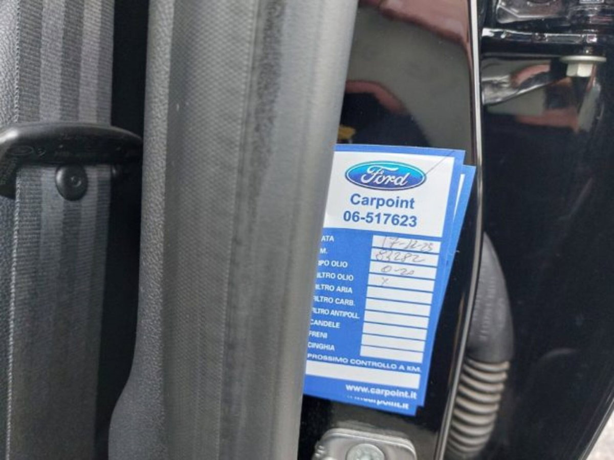 Ford Puma 1.0 EcoBoost Hybrid 125 CV S&S aut. Titanium X (12)