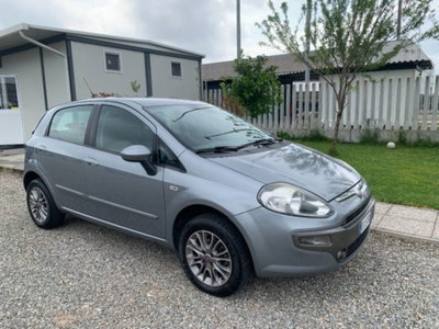 Fiat Punto Evo 1.4 5 porte Active Natural Power (3)