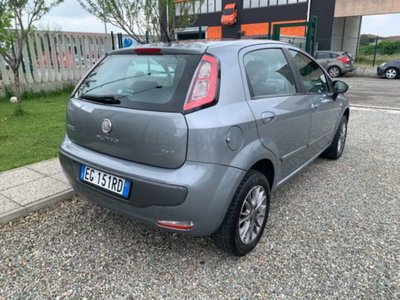 Fiat Punto Evo 1.4 5 porte Active Natural Power (5)