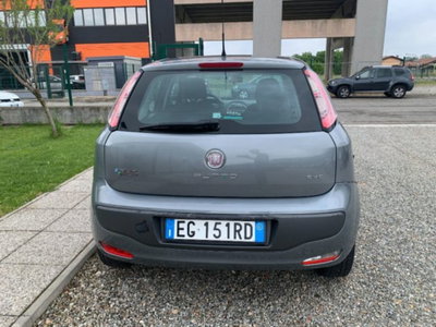 Fiat Punto Evo 1.4 5 porte Active Natural Power (6)