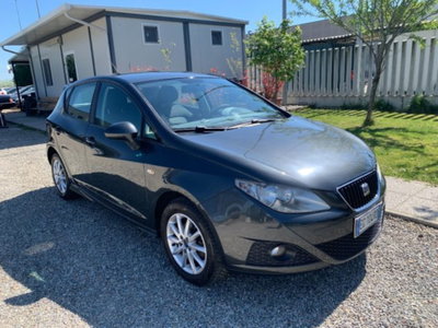 SEAT Ibiza 1.6 TDI CR DPF 5 porte Style (3)