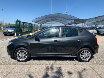 SEAT Ibiza 1.6 TDI CR DPF 5 porte Style (9)