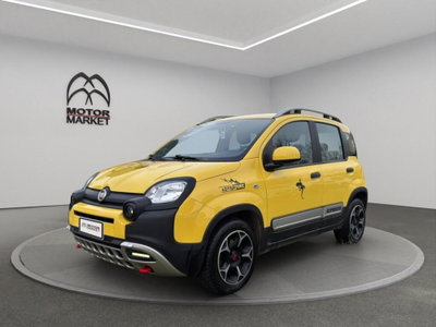Fiat Panda Cross Cross 1.0 FireFly S&S Hybrid usata