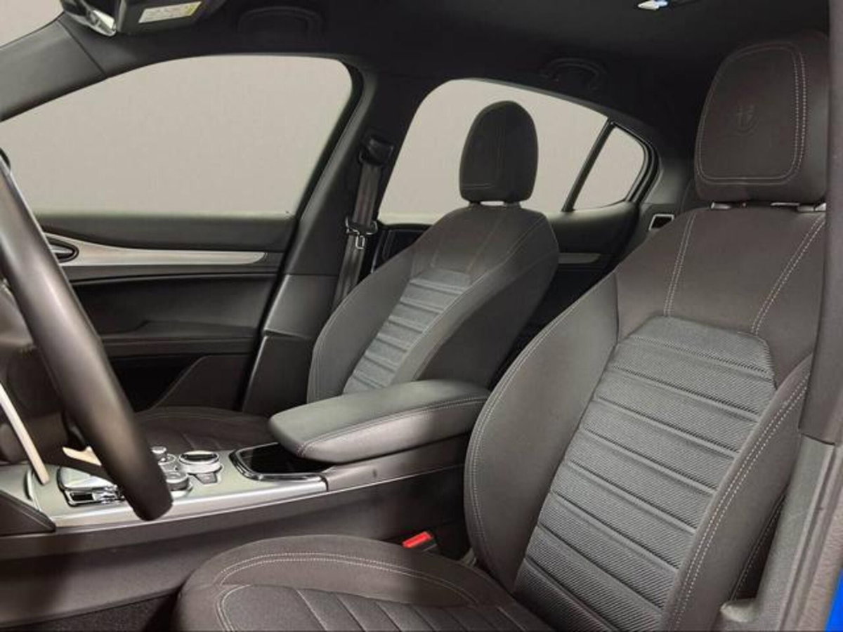 Alfa Romeo Stelvio Stelvio 2.0 Turbo 280 CV AT8 Q4 Veloce (10)