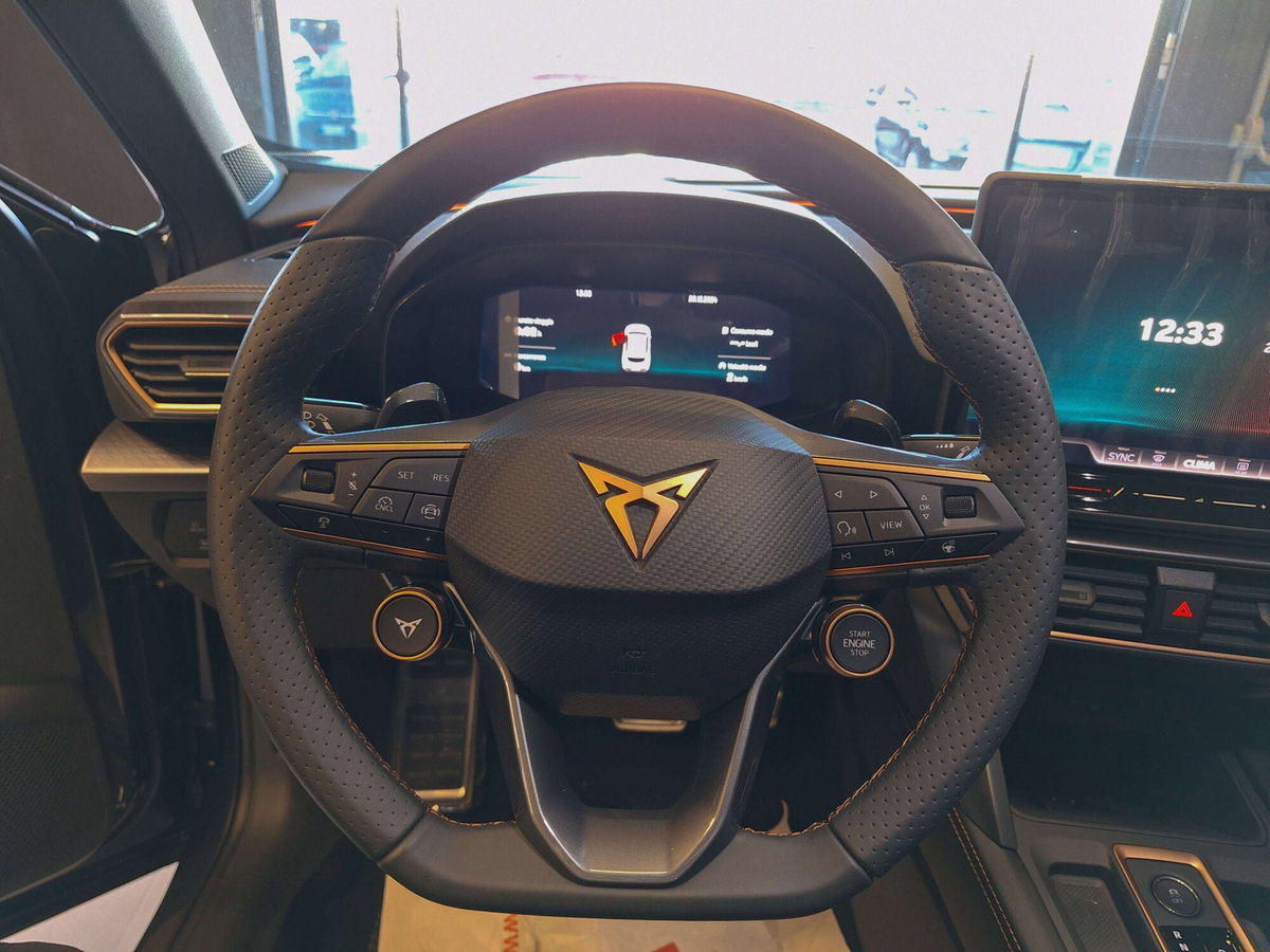 Cupra Formentor 1.5 hybrid 150cv dsg (13)