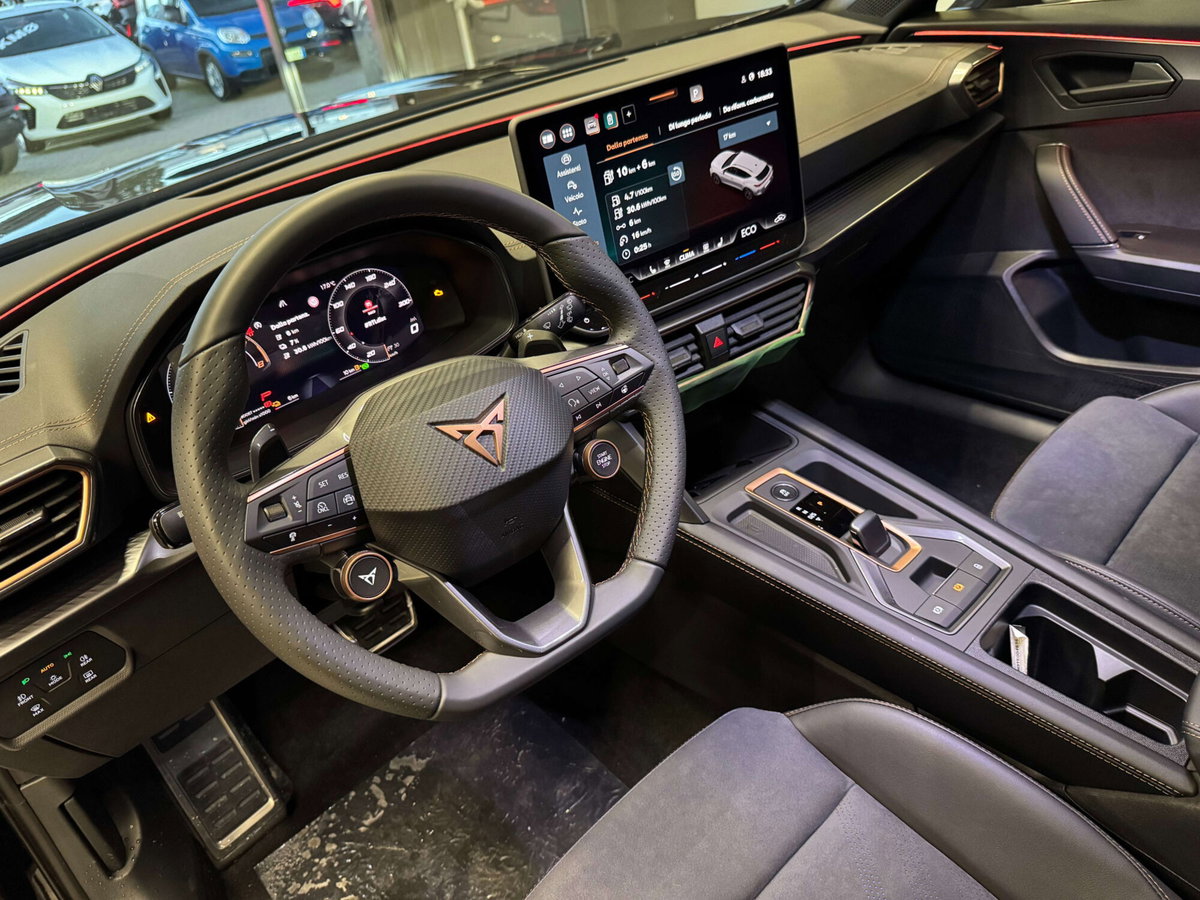 Cupra Formentor Formentor 2.0 TDI (12)