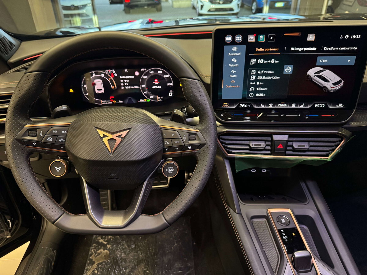 Cupra Formentor Formentor 2.0 TDI (13)