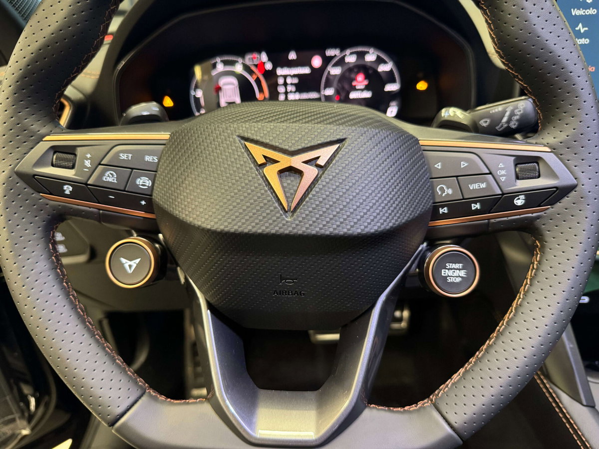 Cupra Formentor Formentor 2.0 TDI (15)